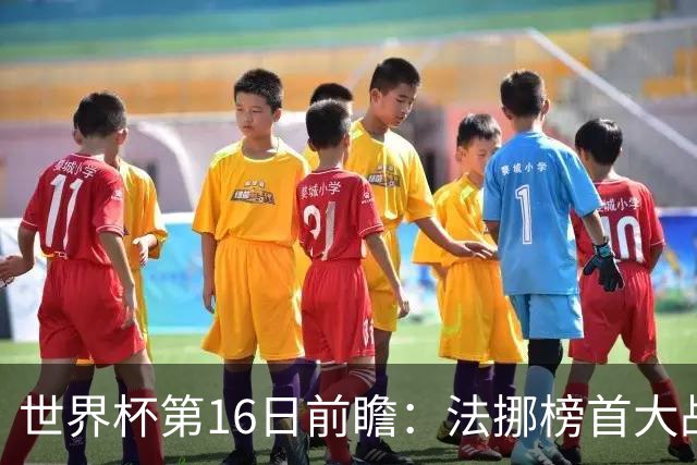 世界杯第16日前瞻：法挪榜首大战又见马宁身影 关注亚洲三队命运