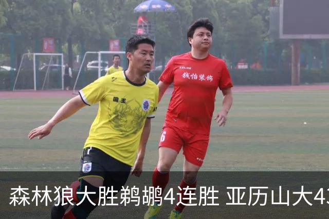 森林狼大胜鹈鹕4连胜 亚历山大43分雷霆克骑士